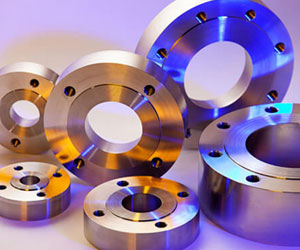 Hastelloy flanges