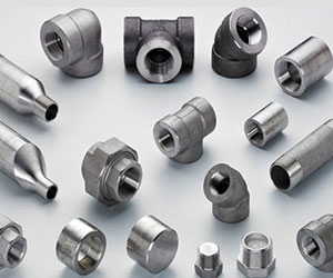 Hastelloy flanges