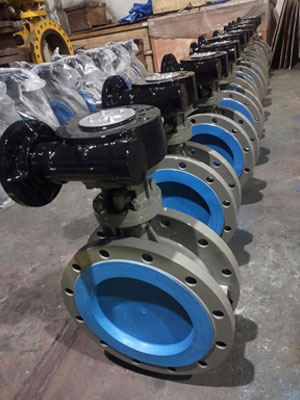 SS Valves